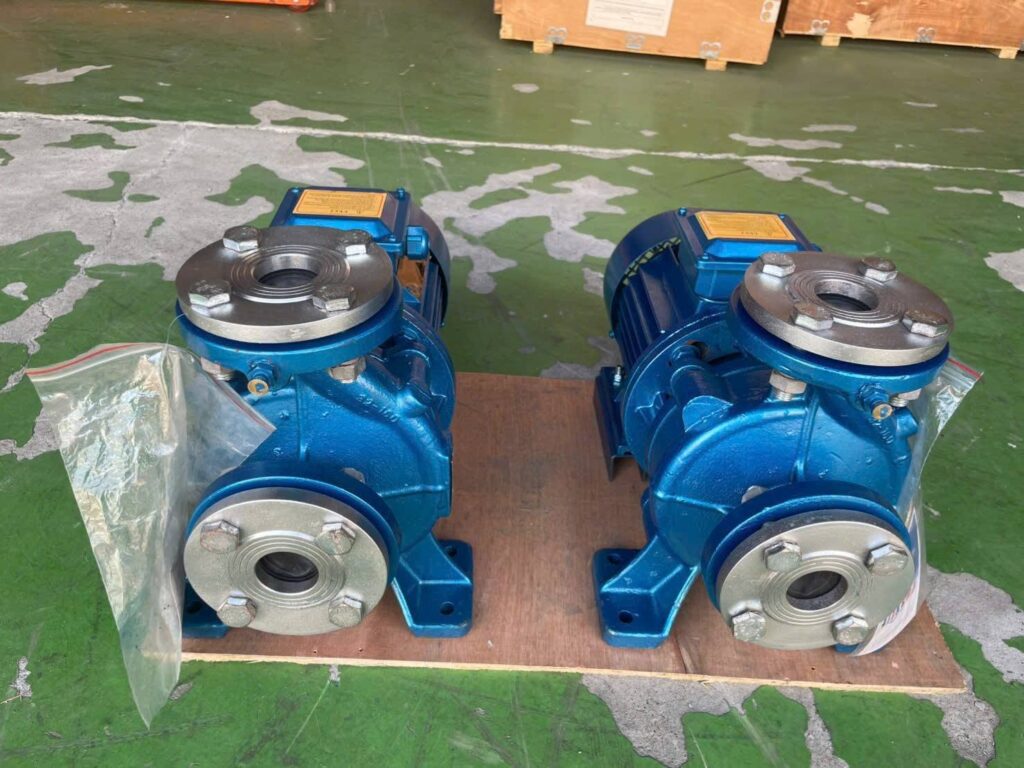 Máy bơm trục ngang DENOR ISW