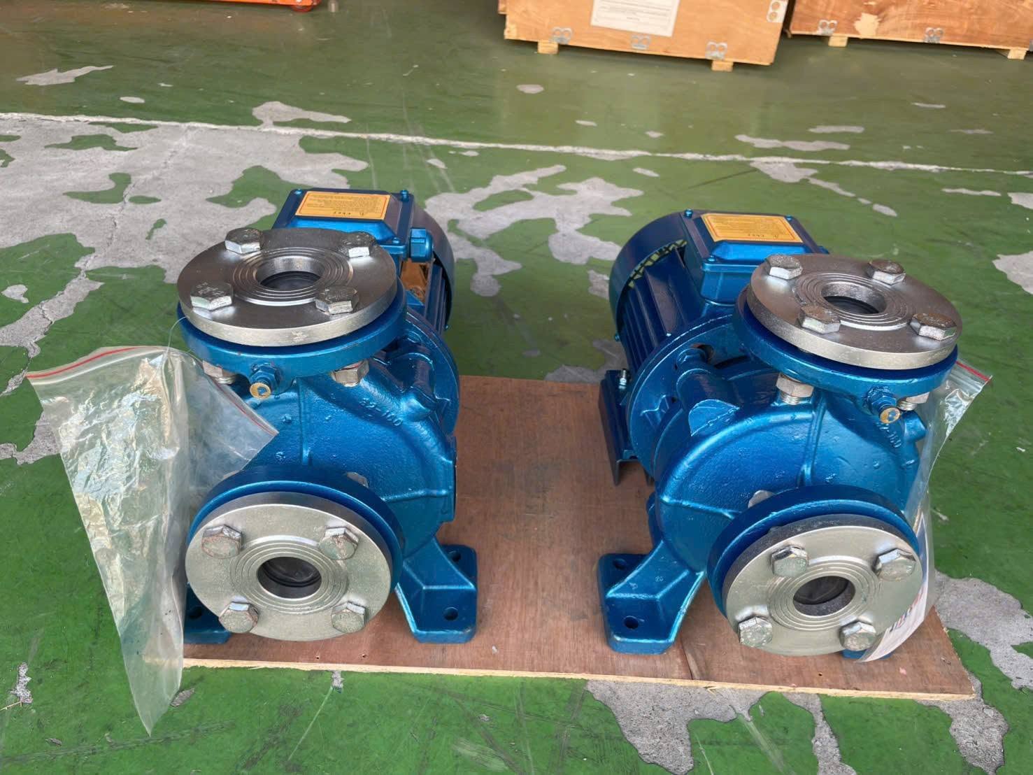 Máy bơm trục ngang DENOR ISW