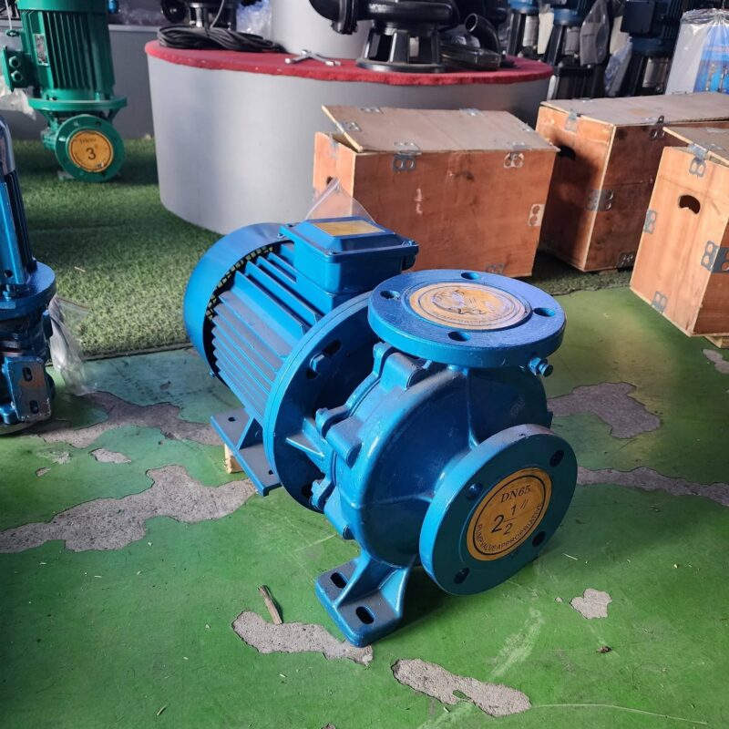 Máy bơm trục ngang DENOR ISW80-100A