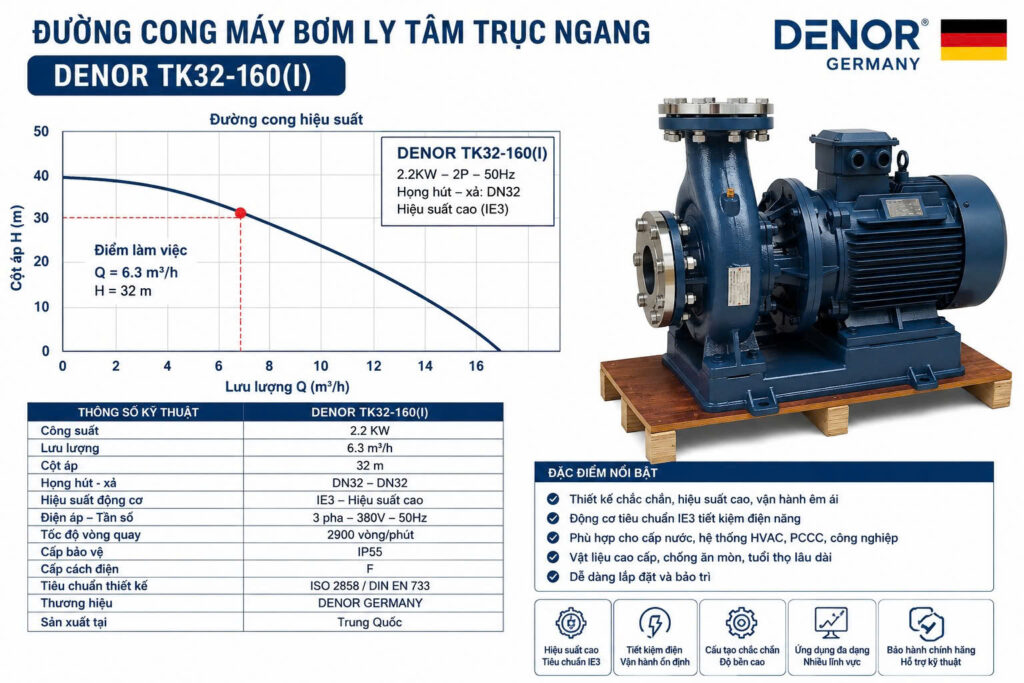 Máy bơm trục ngang DENOR TK32-160(I)