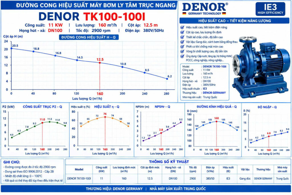 Máy bơm trục ngang DENOR TK100-100I