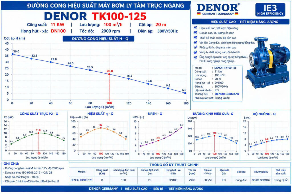 Máy bơm trục ngang DENOR TK100-125