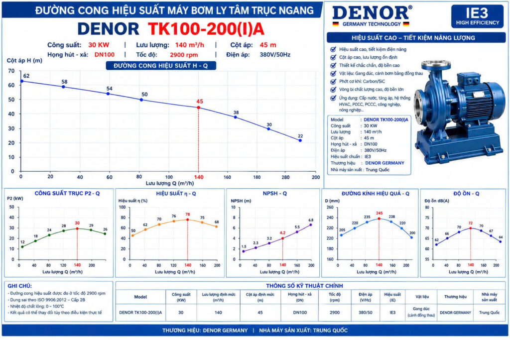 Máy bơm trục ngang DENOR TK100-200(I)A