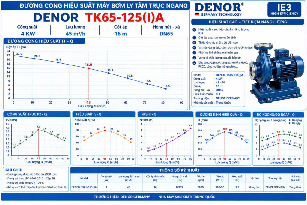 Máy bơm trục ngang DENOR TK65-125(I)A